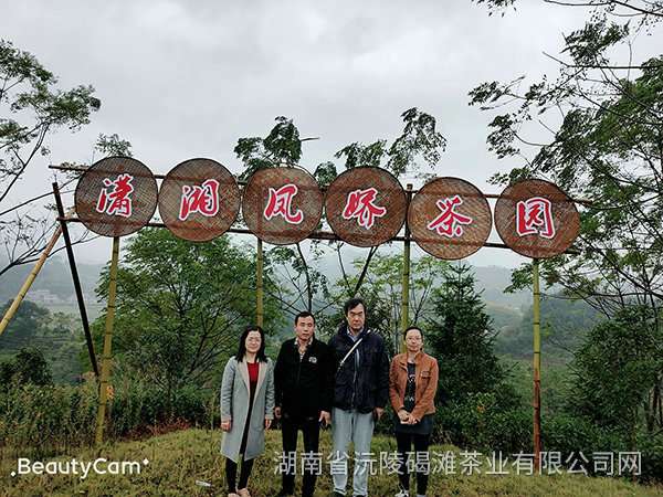 2019年天津客戶(hù)來(lái)公司考察2