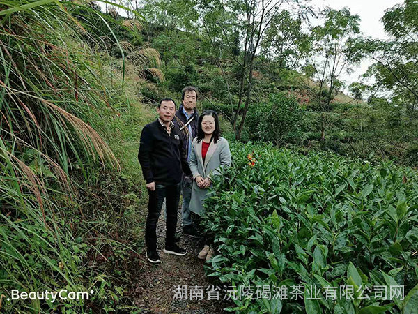 2019年天津客戶(hù)來(lái)公司考察8