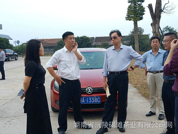 縣領導及省農業(yè)廳領導茬臨產業(yè)園區(qū)指導工作7