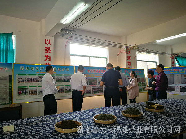 縣領(lǐng)導(dǎo)及省農(nóng)業(yè)廳領(lǐng)導(dǎo)茬臨產(chǎn)業(yè)園區(qū)指導(dǎo)工作13