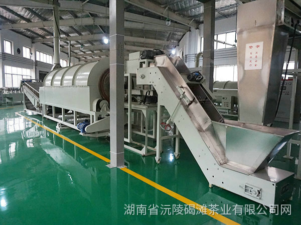 茶葉加工廠房