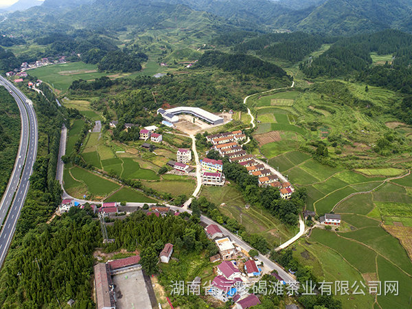基地鳥(niǎo)撖圖