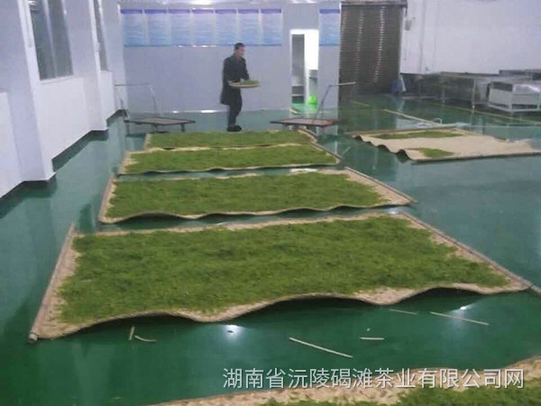 懷化茶葉直銷廠家