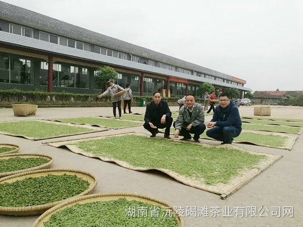 茶園開(kāi)發(fā)