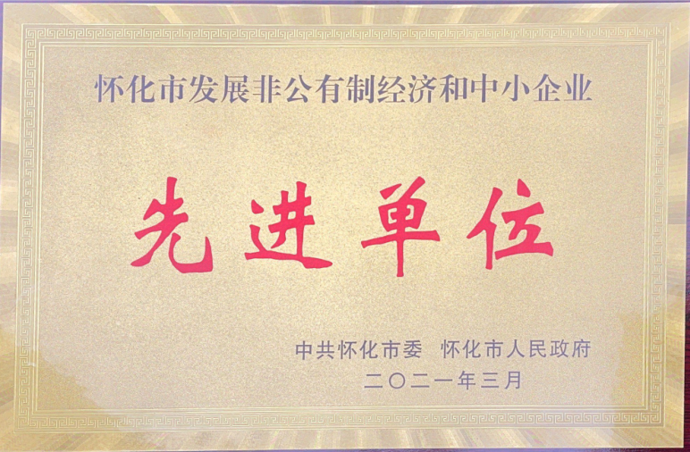 2020年懷化市發(fā)展非公有制經(jīng)濟(jì)和中小企業(yè)先進(jìn)單位