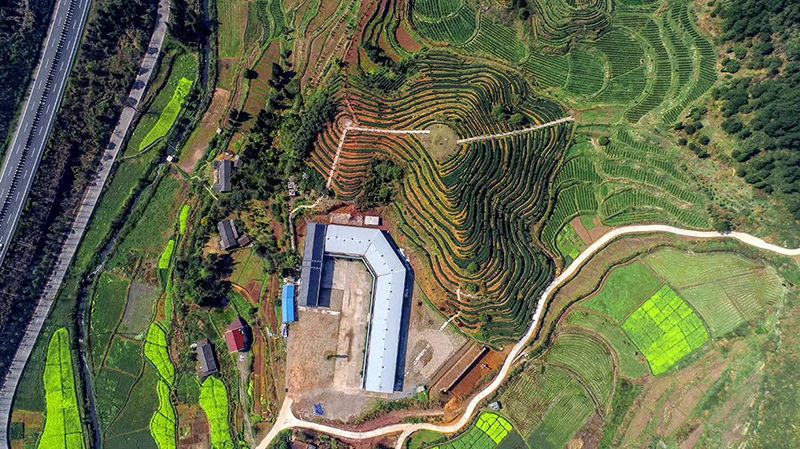 湖南省沅陵碣灘茶業(yè)有限公司,沅陵茶園開發(fā),茶葉加工,茶文化傳播