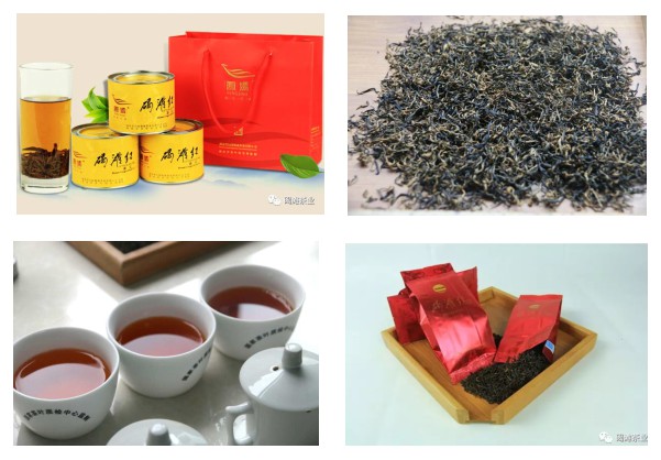 湖南省沅陵碣灘茶業(yè)有限公司,沅陵碣灘茶,茶葉加工銷售,茶文化傳播 湖南省沅陵碣灘茶業(yè)有限公司,沅陵碣灘茶,茶葉加工銷售,茶文化傳播