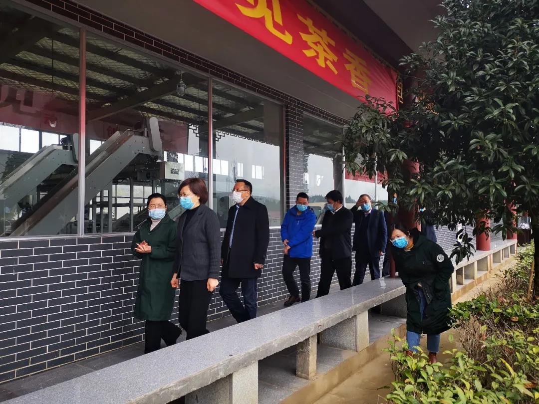 湖南省沅陵碣灘茶業(yè)有限公司,沅陵碣灘茶,茶葉加工銷售,茶文化傳播