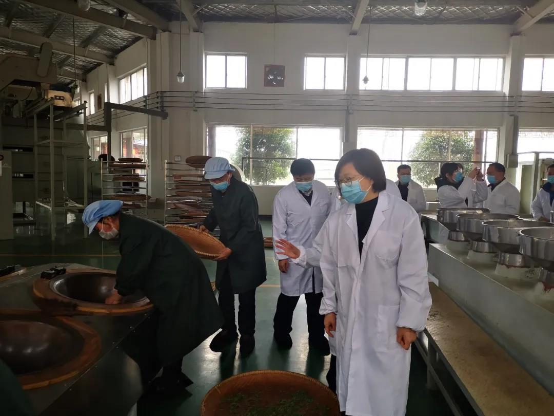 湖南省沅陵碣灘茶業(yè)有限公司,沅陵碣灘茶,茶葉加工銷售,茶文化傳播