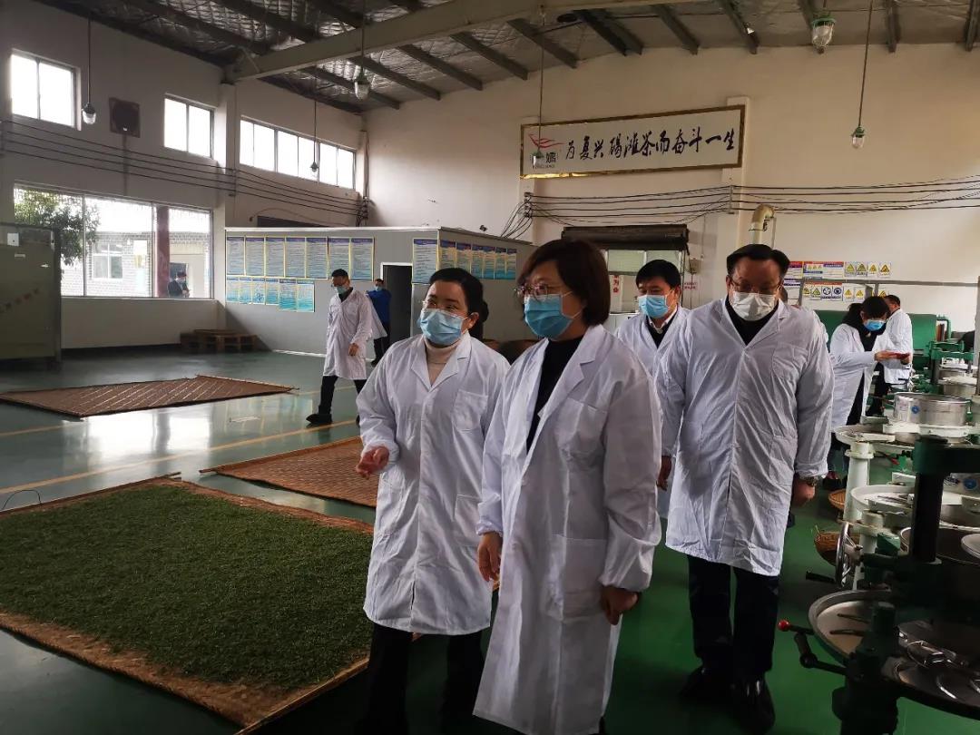 湖南省沅陵碣灘茶業(yè)有限公司,沅陵碣灘茶,茶葉加工銷售,茶文化傳播