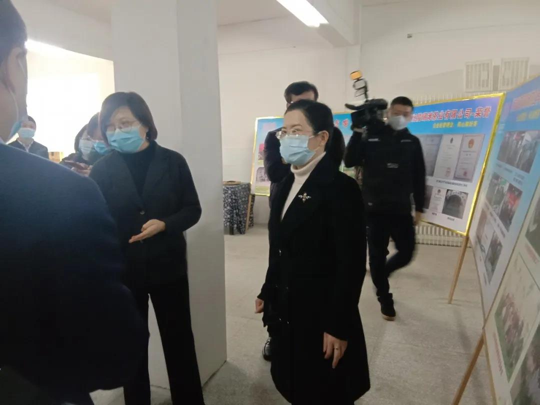 湖南省沅陵碣灘茶業(yè)有限公司,沅陵碣灘茶,茶葉加工銷售,茶文化傳播