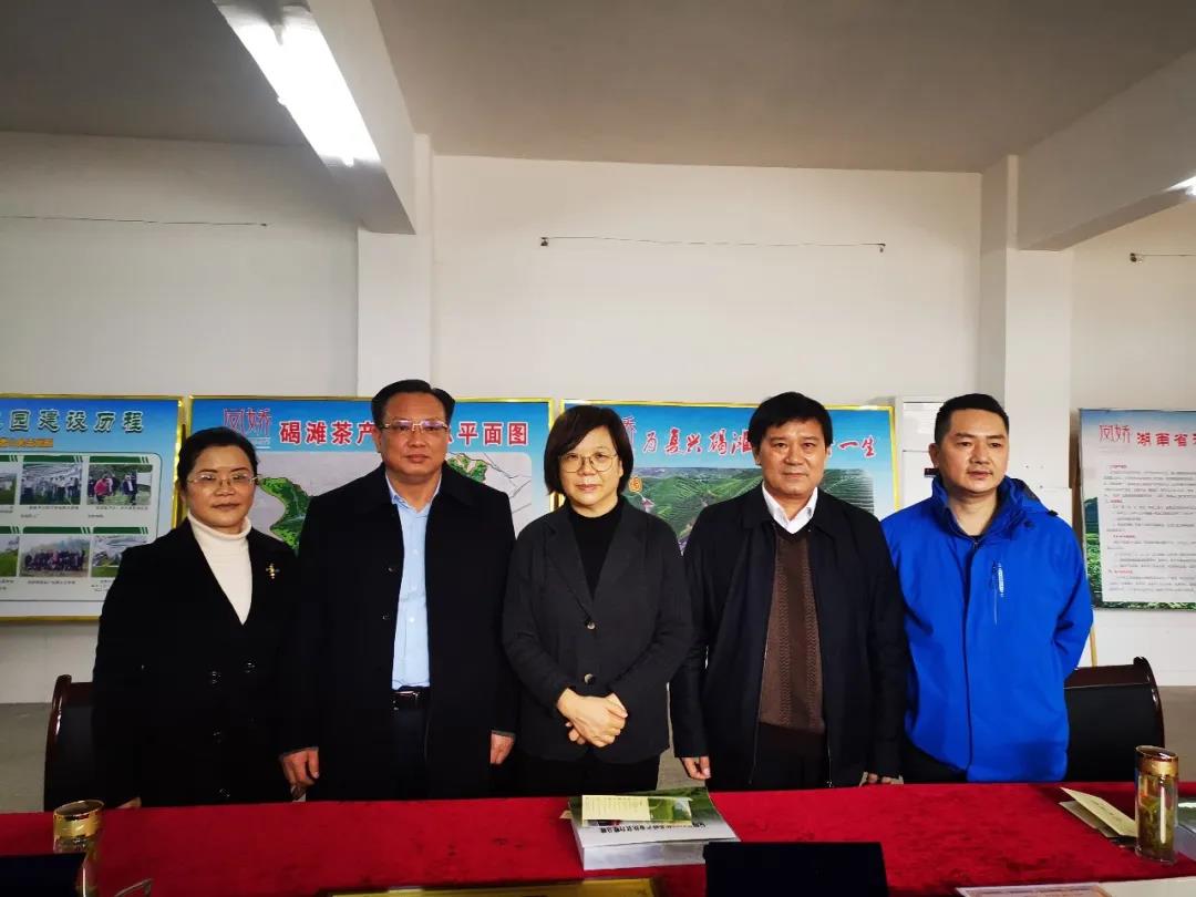 湖南省沅陵碣灘茶業(yè)有限公司,沅陵碣灘茶,茶葉加工銷售,茶文化傳播