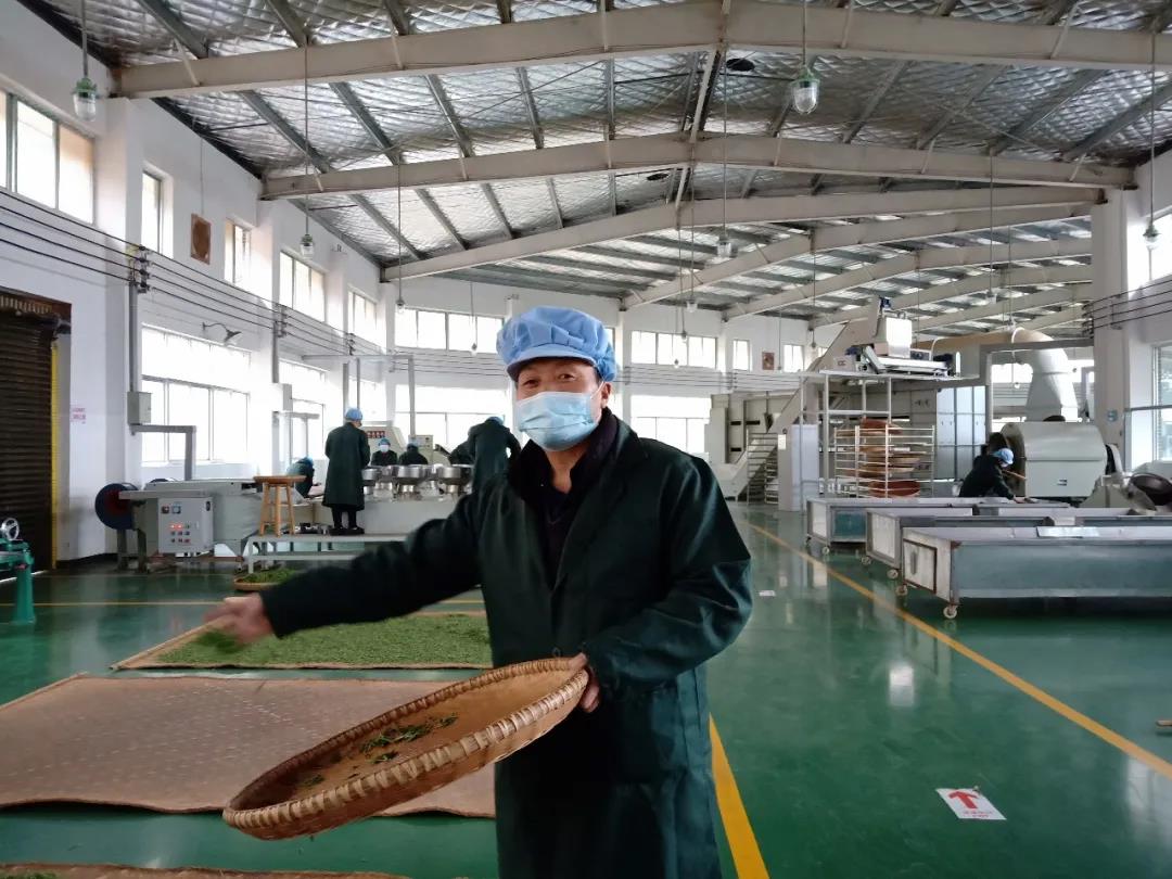 湖南省沅陵碣灘茶業(yè)有限公司,沅陵碣灘茶,茶葉加工銷售,茶文化傳播