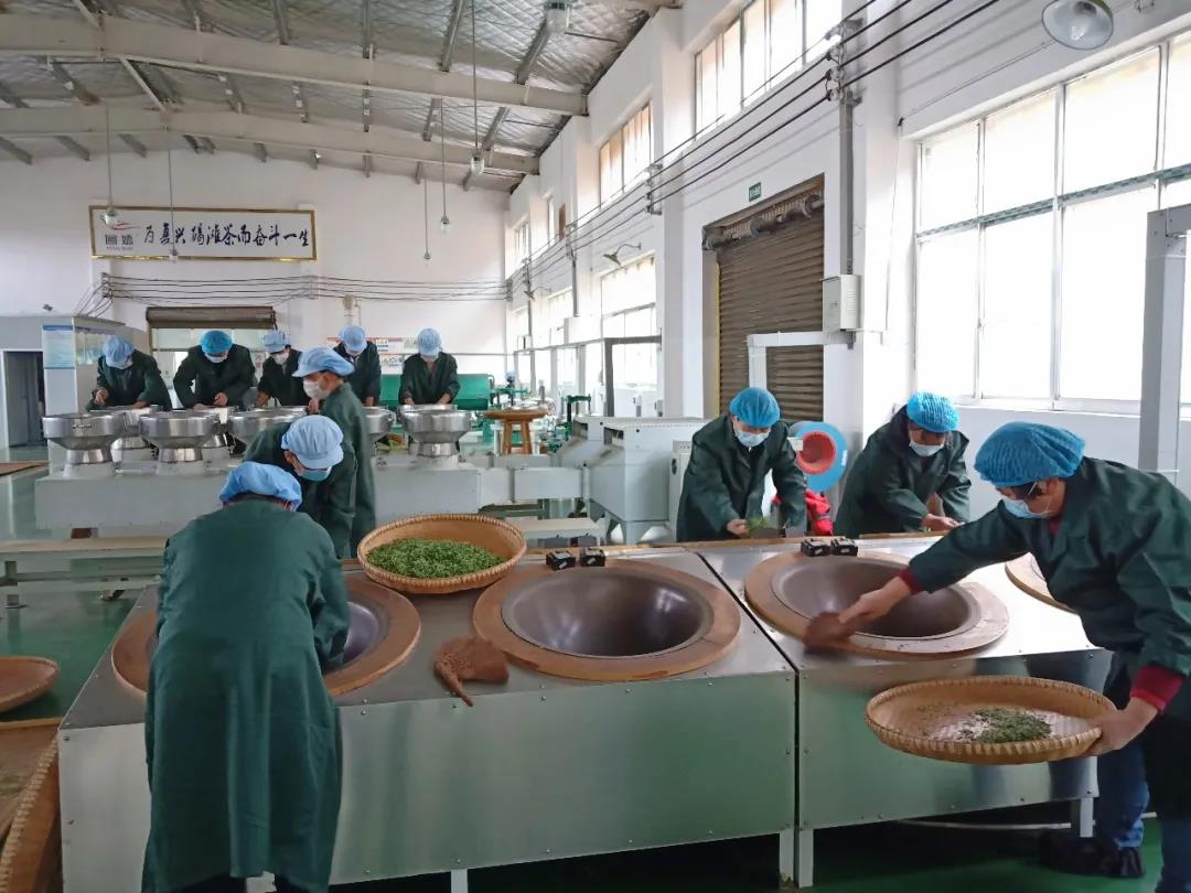 湖南省沅陵碣灘茶業(yè)有限公司,沅陵碣灘茶,茶葉加工銷售,茶文化傳播