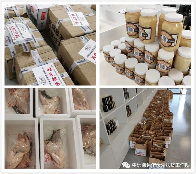 湖南省沅陵碣灘茶業(yè)有限公司,沅陵碣灘茶,茶葉加工銷售,茶文化傳播