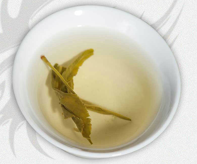 新聞動(dòng)態(tài)