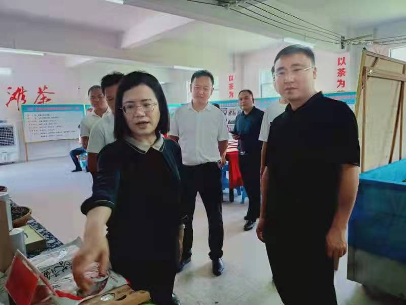 新聞動(dòng)態(tài) 新聞動(dòng)態(tài)