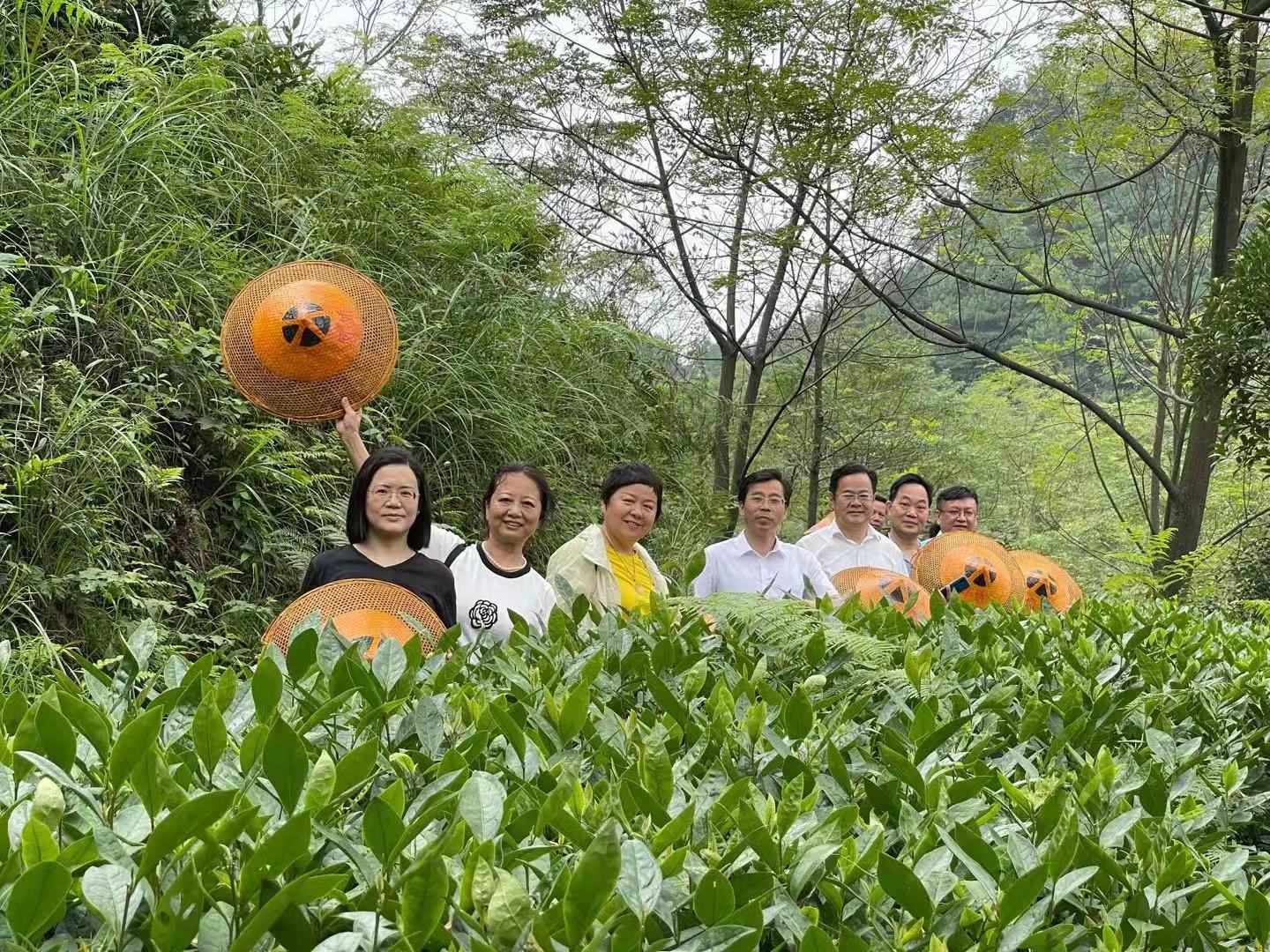 新聞動(dòng)態(tài) 新聞動(dòng)態(tài)
