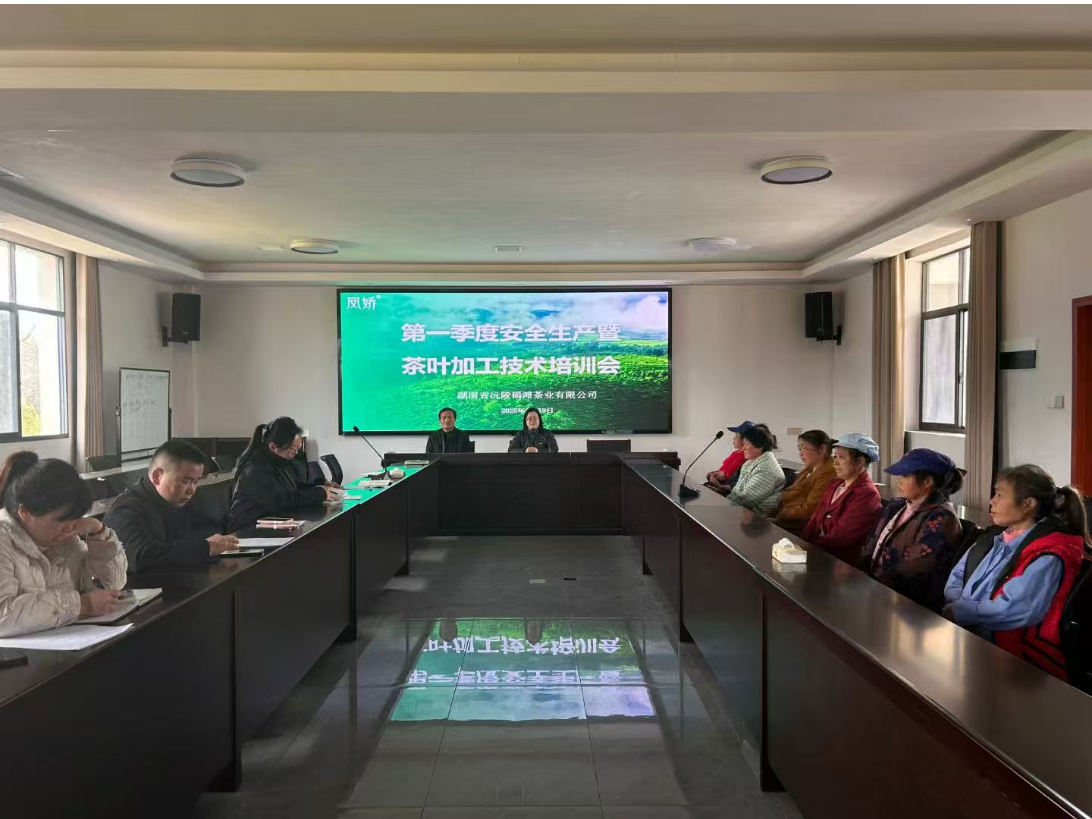 新聞動(dòng)態(tài)